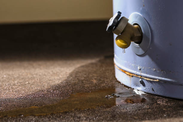 Best Water damage contractors near me  in Reedurban, OH