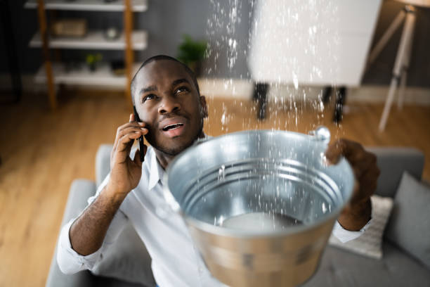 Best Carpet water damage restoration  in Reedurban, OH