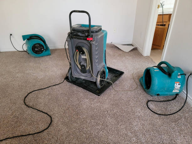 Best 24/7 water damage repair  in Reedurban, OH