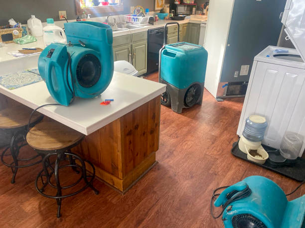 Best Water damage restoration near me  in Reedurban, OH
