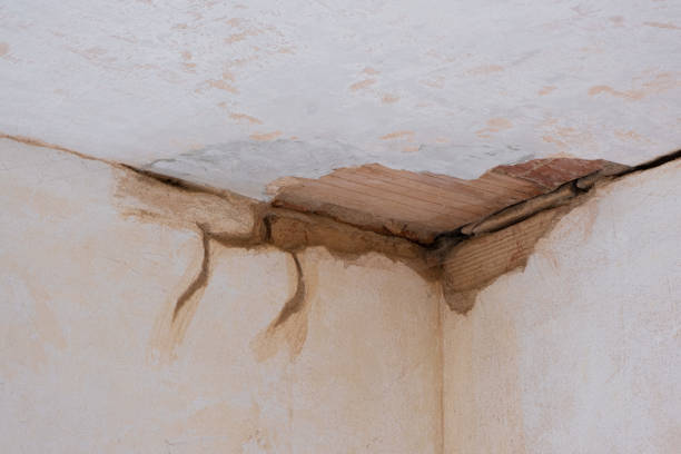 Best Mold removal after water damage  in Reedurban, OH