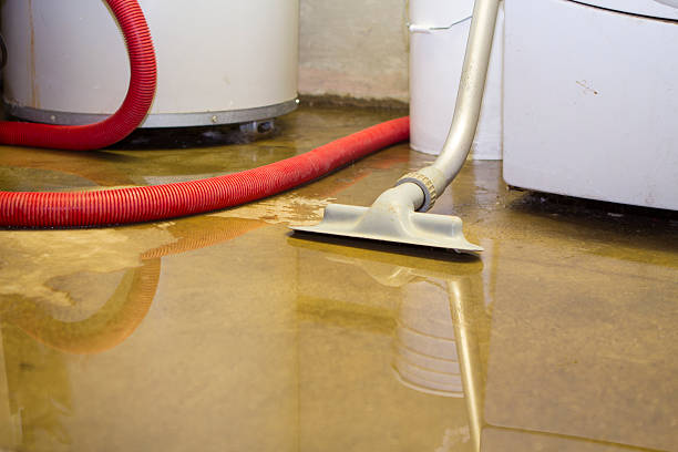 Best Professional water damage repair  in Reedurban, OH