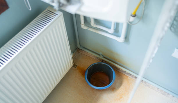 Best Fire Damage Restoration  in Reedurban, OH